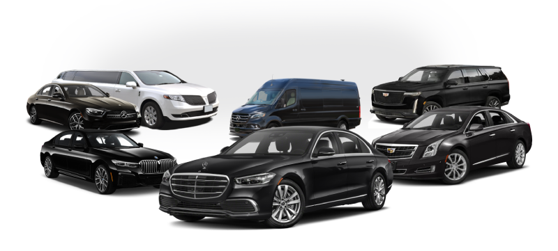 Our Fleet of Limousines